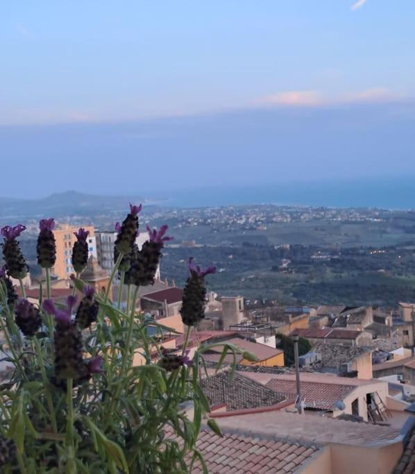 Casuzza Al Duomo Con Vista Valle Dei Templi! أغريجنتو المظهر الخارجي الصورة